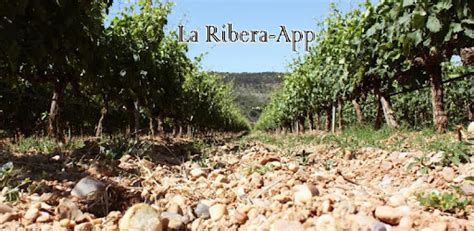 lv ribera|la ribera app.